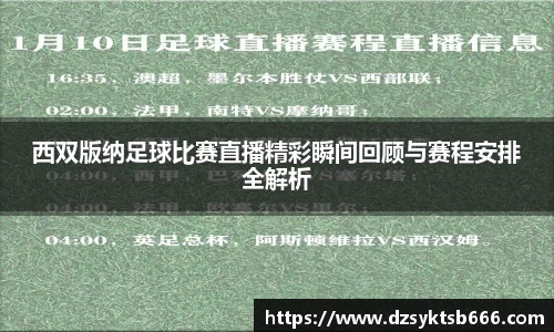西双版纳足球比赛直播精彩瞬间回顾与赛程安排全解析