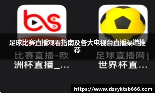 足球比赛直播观看指南及各大电视台直播渠道推荐