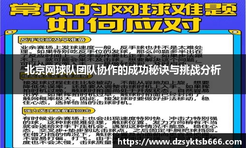 北京网球队团队协作的成功秘诀与挑战分析